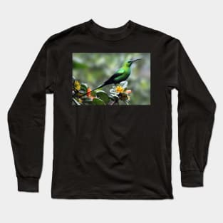 Malachite Sunbird, South Africa Long Sleeve T-Shirt